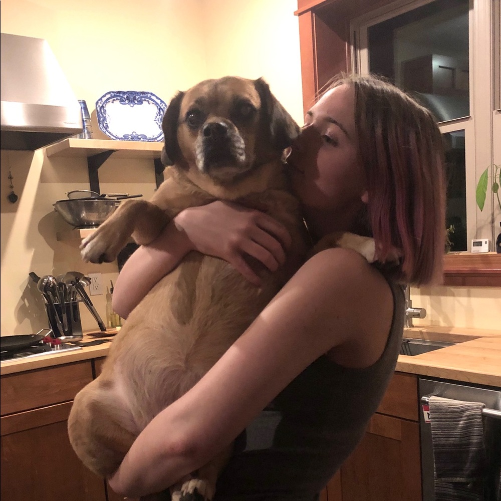 Meet your Posher, Skye